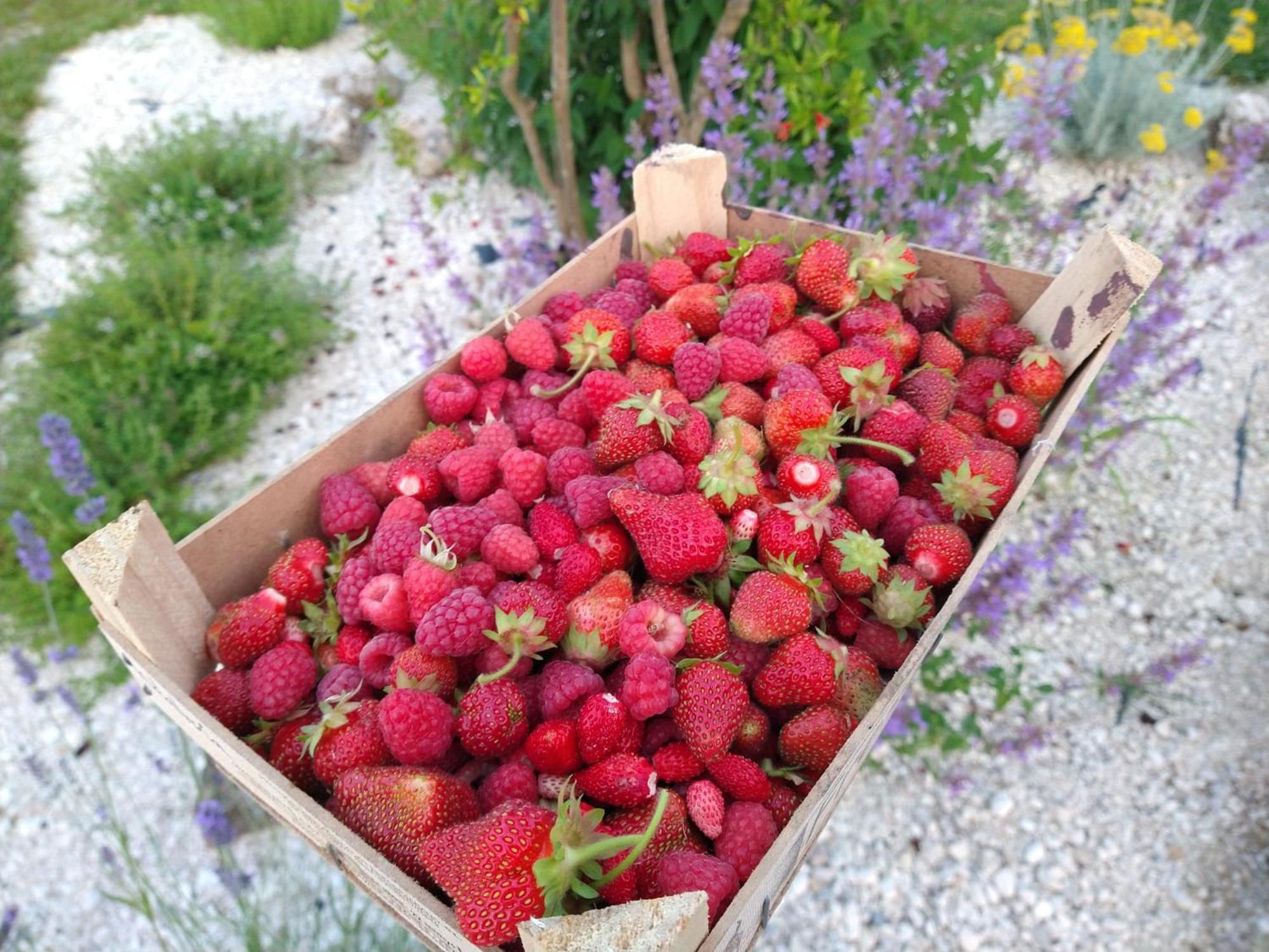 Agriturismo Verdecielo 파도바 외부 사진