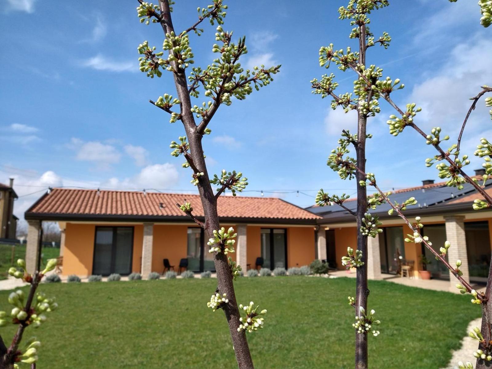 Agriturismo Verdecielo 파도바 객실 사진